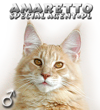 AMARETTO Special Agent*PL