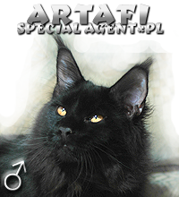 ARTAFISpecial Agent*PL