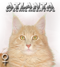 ATLANTA Special Agent*PL