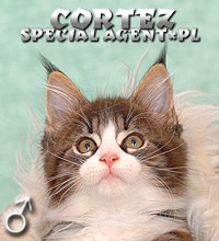 Cortez Special Agent*PL