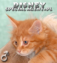DISNEY Special Agent*PL
