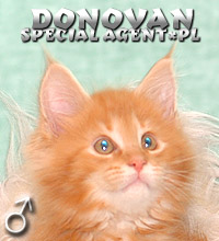 Donovan Special Agent*PL