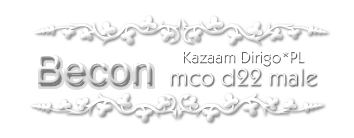 KAZZAM Dirigo*PL