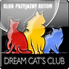 Our cat club: